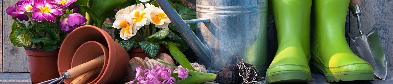 نمایشگاه باغبانی و گل  و گیاه فرانسه (SIVAL) banner ilikevents