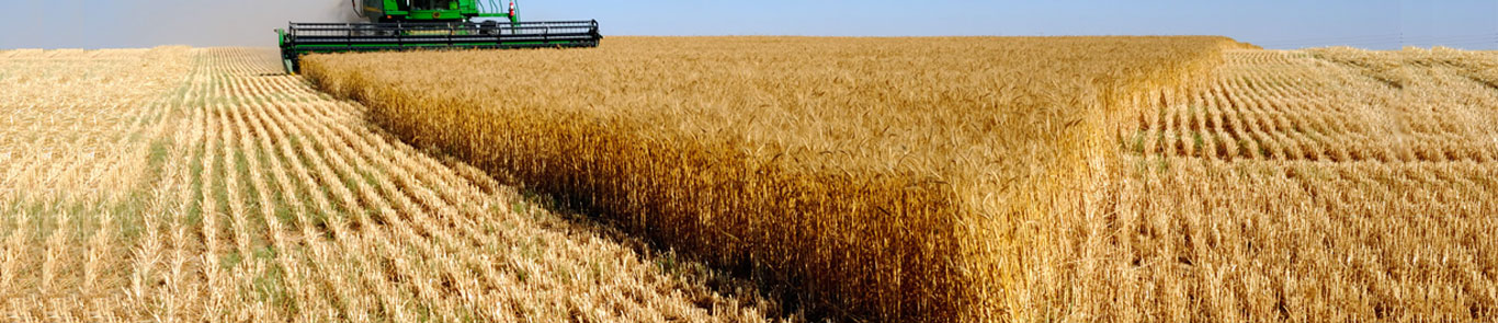 نمایشگاه کشاورزی باکو (Caspian Agro) banner ilikevents