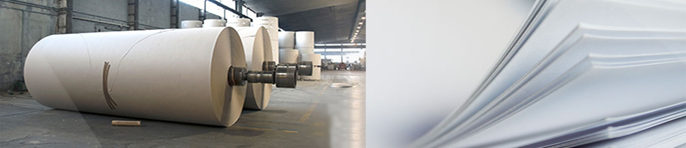 نمایشگاه کاغذ جنوب هند (Paperex) banner ilikevents